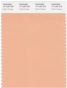 Pantone Smart 14-1220 TCX Color Swatch Card | Peach Nougat 