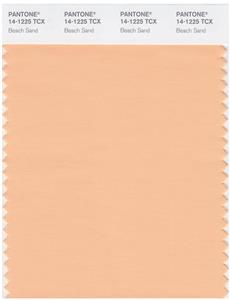 Pantone Smart 14-1225 TCX Color Swatch Card | Beach Sand 