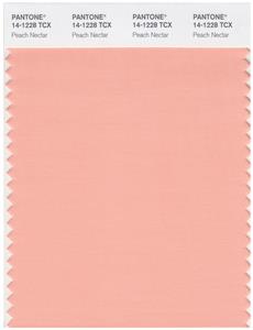 Pantone Smart 14-1228 TCX Color Swatch Card | Peach Nectar 