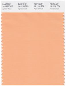 Pantone Smart 14-1230 TCX Color Swatch Card | Apricot Wash 