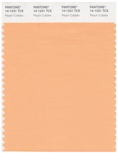 Pantone Smart 14-1231 TCX Color Swatch Card | Peach Cobbler 