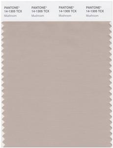 Pantone Smart 14-1305 TCX Color Swatch Card | Mushroom 