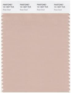 Pantone Smart 14-1307 TCX Color Swatch Card | Rose Dust 