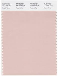 Pantone Smart 14-1309 TCX Color Swatch Card | Peach Whip 