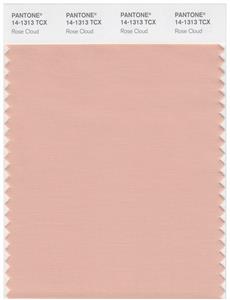 Pantone Smart 14-1313 TCX Color Swatch Card | Rose Cloud 