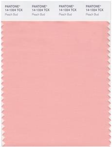 Pantone Smart 14-1324 TCX Color Swatch Card | Peach Bud 