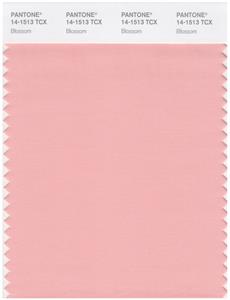 Pantone Smart 14-1513 TCX Color Swatch Card | Blossom 