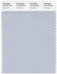 Pantone Smart 14-4106 TCX Color Swatch Card | Gray Dawn 