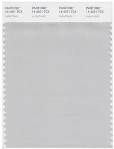 Pantone Smart 14-4201 TCX Color Swatch Card | Lunar Rock 