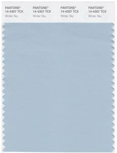 Pantone Smart 14-4307  TCX Color Swatch Card | Winter Sky 