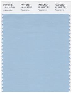 Pantone Smart 14-4313 TCX Color Swatch Card | Aquamarine 