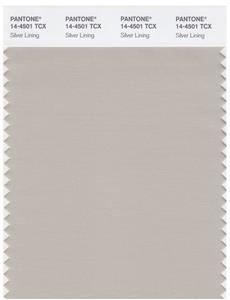 Pantone Smart 14-4501 TCX Color Swatch Card | Silver Lining 