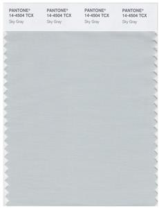 Pantone Smart 14-4504 TCX Color Swatch Card | Sky Gray 