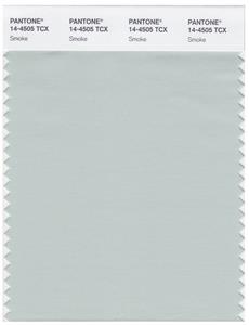 Pantone Smart 14-4505 TCX Color Swatch Card | Smoke 