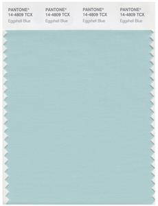 Pantone Smart 14-4809 TCX Color Swatch Card | Eggshell Blue 