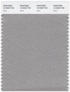 Pantone Smart 14-5002 TCX Color Swatch Card | Silver 