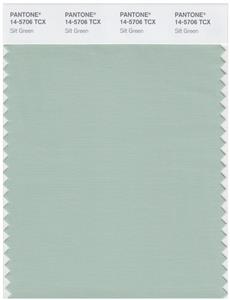 Pantone Smart 14-5706 TCX Color Swatch Card | Silt Green 