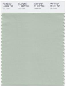 Pantone Smart 14-6007 TCX Color Swatch Card | Sea Foam 