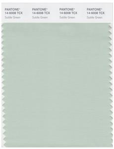 Pantone Smart 14-6008 TCX Color Swatch Card | Subtle Green 