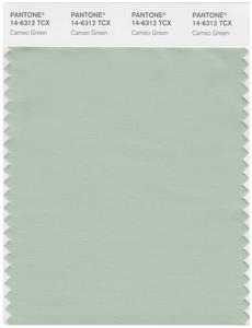 Pantone Smart 14-6312 TCX Color Swatch Card | Cameo Green 