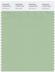 Pantone Smart 14-6316 TCX Color Swatch Card | Sprucestone 