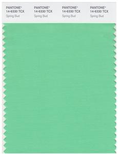 Pantone Smart 14-6330 TCX Color Swatch Card | Spring Bud 