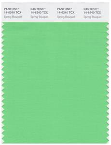 Pantone Smart 14-6340 TCX Color Swatch Card | Spring Bouquet 