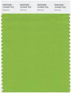 Pantone Smart 15-0343 TCX Color Swatch Card | Greenery 