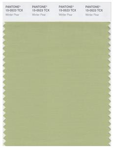 Pantone Smart 15-0523 TCX Color Swatch Card | Winter Pear 