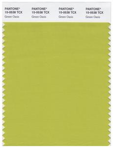 Pantone Smart 15-0538 TCX Color Swatch Card | Green Oasis 