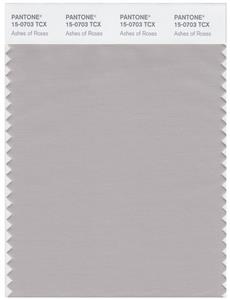 Pantone Smart 15-0703 TCX Color Swatch Card | Ashes Of Roses 