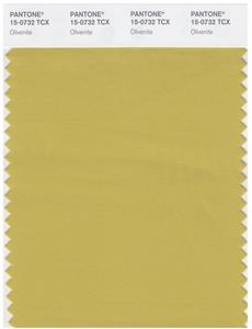 Pantone Smart 15-0732 TCX Color Swatch Card | Olivenite 