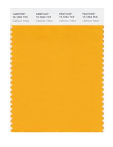 Pantone Smart 15-1504 TCX Color Swatch Card | Cadmium Yellow 