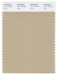 Pantone Smart 15-1116 TCX Color Swatch Card | Safari 