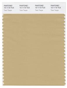 Pantone Smart 15-1119 TCX Color Swatch Card | Taos Taupe 