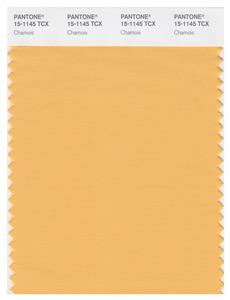 Pantone Smart 15-1145 TCX Color Swatch Card | Chamois 