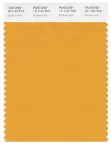 Pantone Smart 15-1147 TCX Color Swatch Card | Butterscotch 