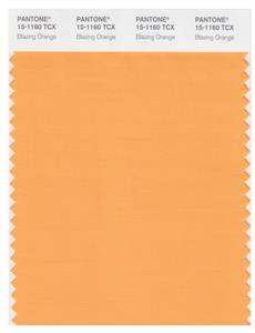 Pantone Smart 15-1160 TCX Color Swatch Card | Blazing Orange 