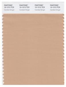 Pantone Smart 15-1213 TCX Color Swatch Card | Candied Ginger 