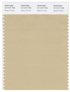 Pantone Smart 15-1217 TCX Color Swatch Card | Mojave Desert 