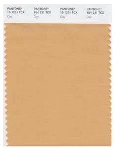 Pantone Smart 15-1231 TCX Color Swatch Card | Clay 