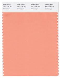 Pantone Smart 15-1239 TCX Color Swatch Card | Canteloupe 