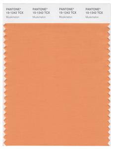 Pantone Smart 15-1242 TCX Color Swatch Card | Muskmelon 