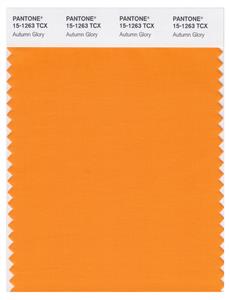 Pantone Smart 15-1263 TCX Color Swatch Card | Autumn Glory 