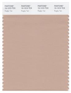 Pantone Smart 15-1315 TCX Color Swatch Card | Rugby Tan 