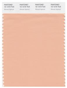 Pantone Smart 15-1319 TCX Color Swatch Card | Almost Apricot 