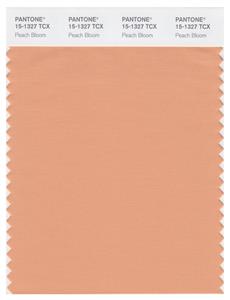 Pantone Smart 15-1327 TCX Color Swatch Card | Peach Bloom 