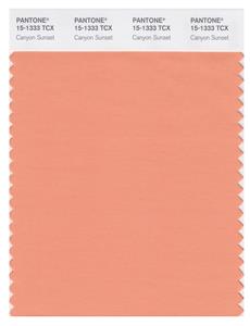 Pantone Smart 15-1333 TCX Color Swatch Card | Canyon Sunset 