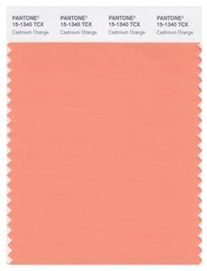 Pantone Smart 15-1340 TCX Color Swatch Card | Cadmium Orange 