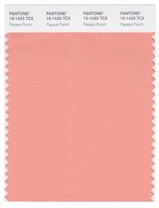 Pantone Smart 15-1433 TCX Color Swatch Card | Papaya Punch 